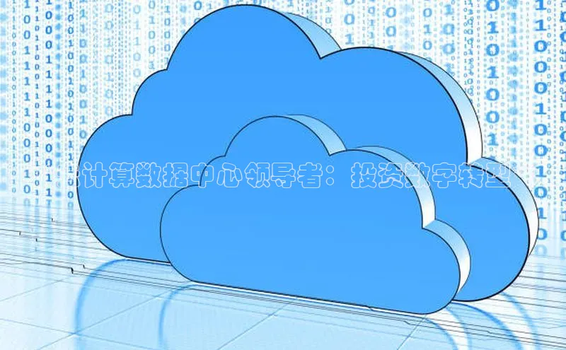 杏悦app官方网站入口下载安装诸葛科技**云计算数据中心领导者：投资数字转型**