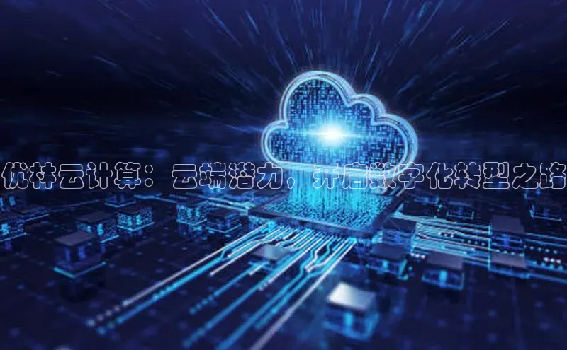 杏悦会员官网登录入口携程优林云计算：云端潜力，开启数字化转型之路