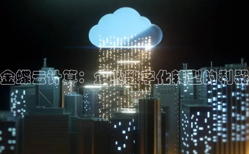 杏悦登陆路线网易金蝶云计算：企业数字化转型的利器
