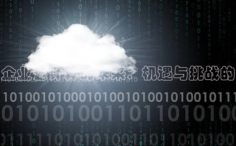 杏悦娱乐官方网站入口百度识图企业云计算的未来：机遇与挑战的