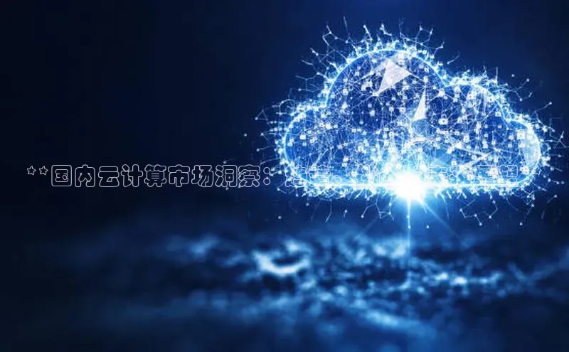 杏悦娱乐官网入口登录注册轻美电器**国内云计算市场洞察：趋势、挑战和未来展望**
